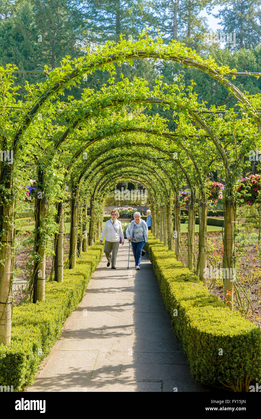 Le donne anziane passeggiare sul sentiero sotto il pergolato di rose, Butchart Gardens, Brentwood Bay, vicino a Victoria, British Columbia, Canada Foto Stock