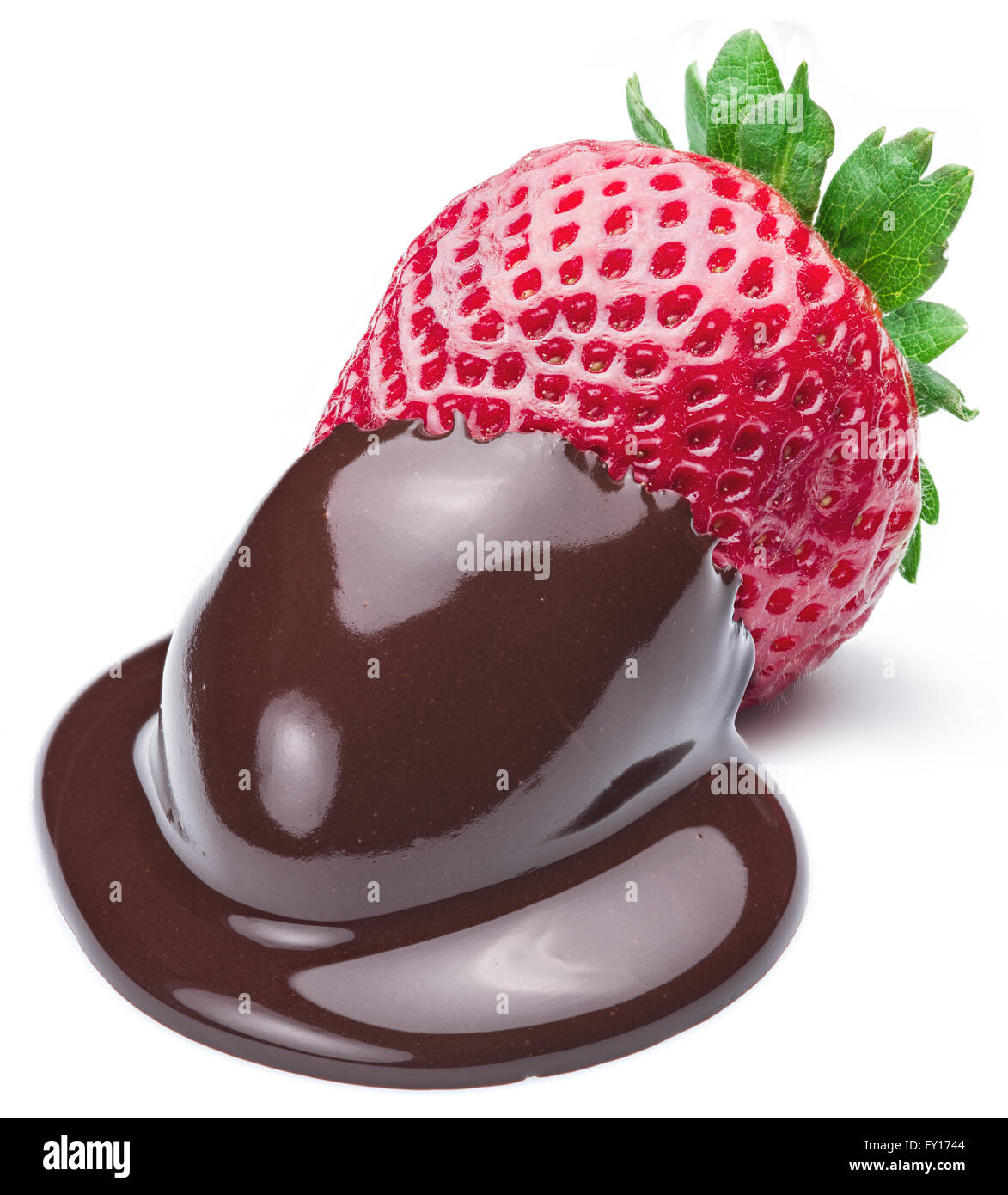 Fragola immerso nella fonduta di cioccolato su sfondo bianco. Foto Stock