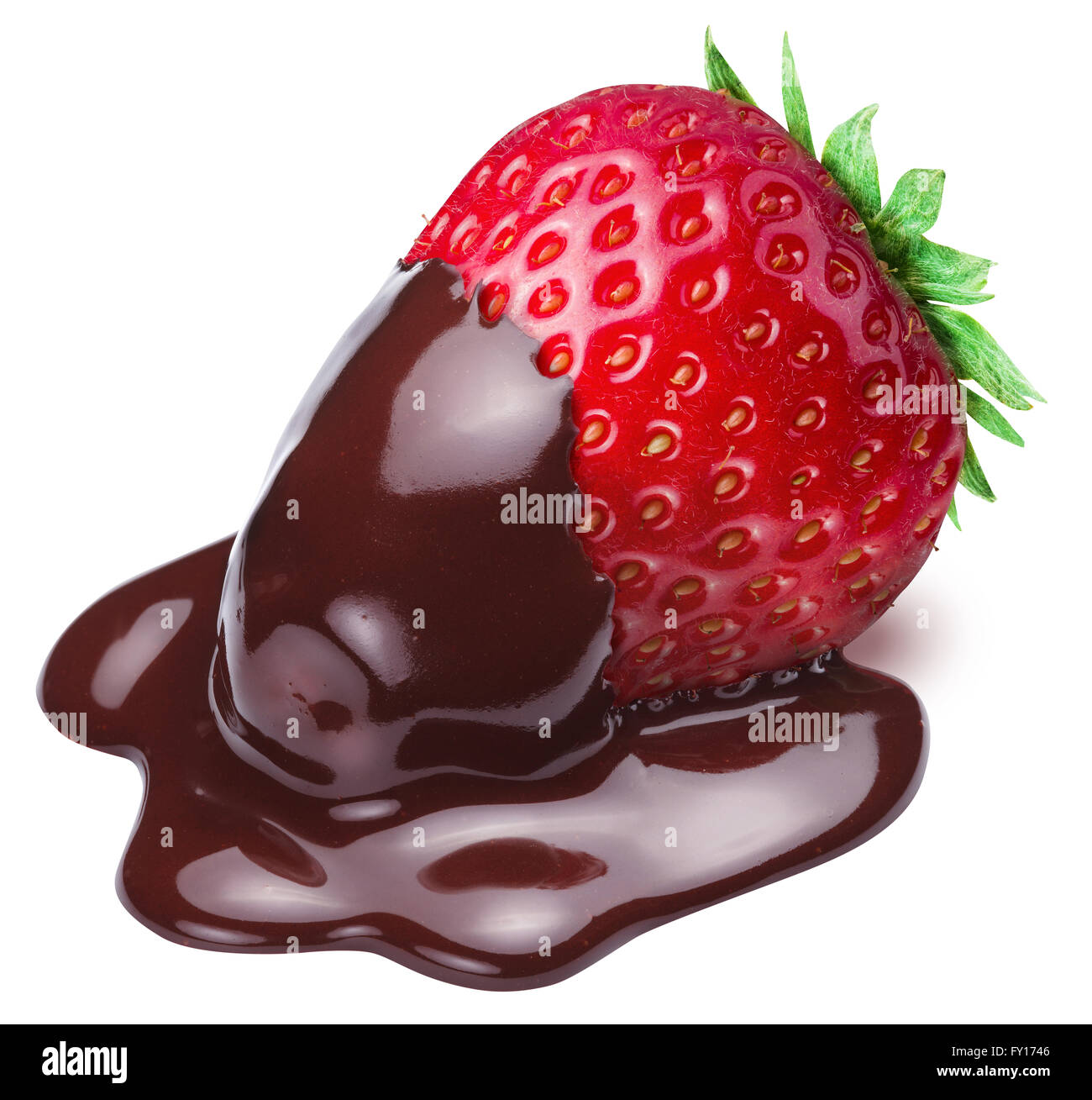 Fragola immerso nella fonduta di cioccolato su sfondo bianco. Foto Stock