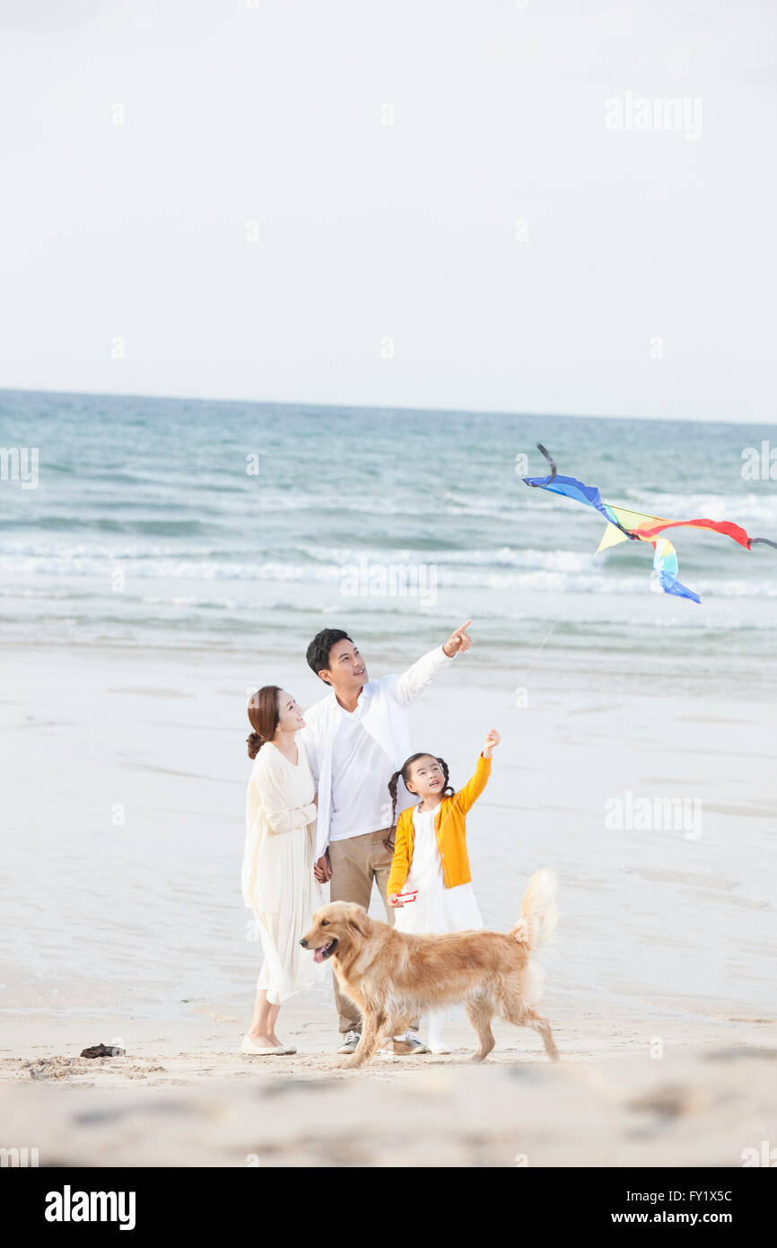 Ragazza volare un aquilone e i suoi genitori in spiaggia con un cane insieme Foto Stock