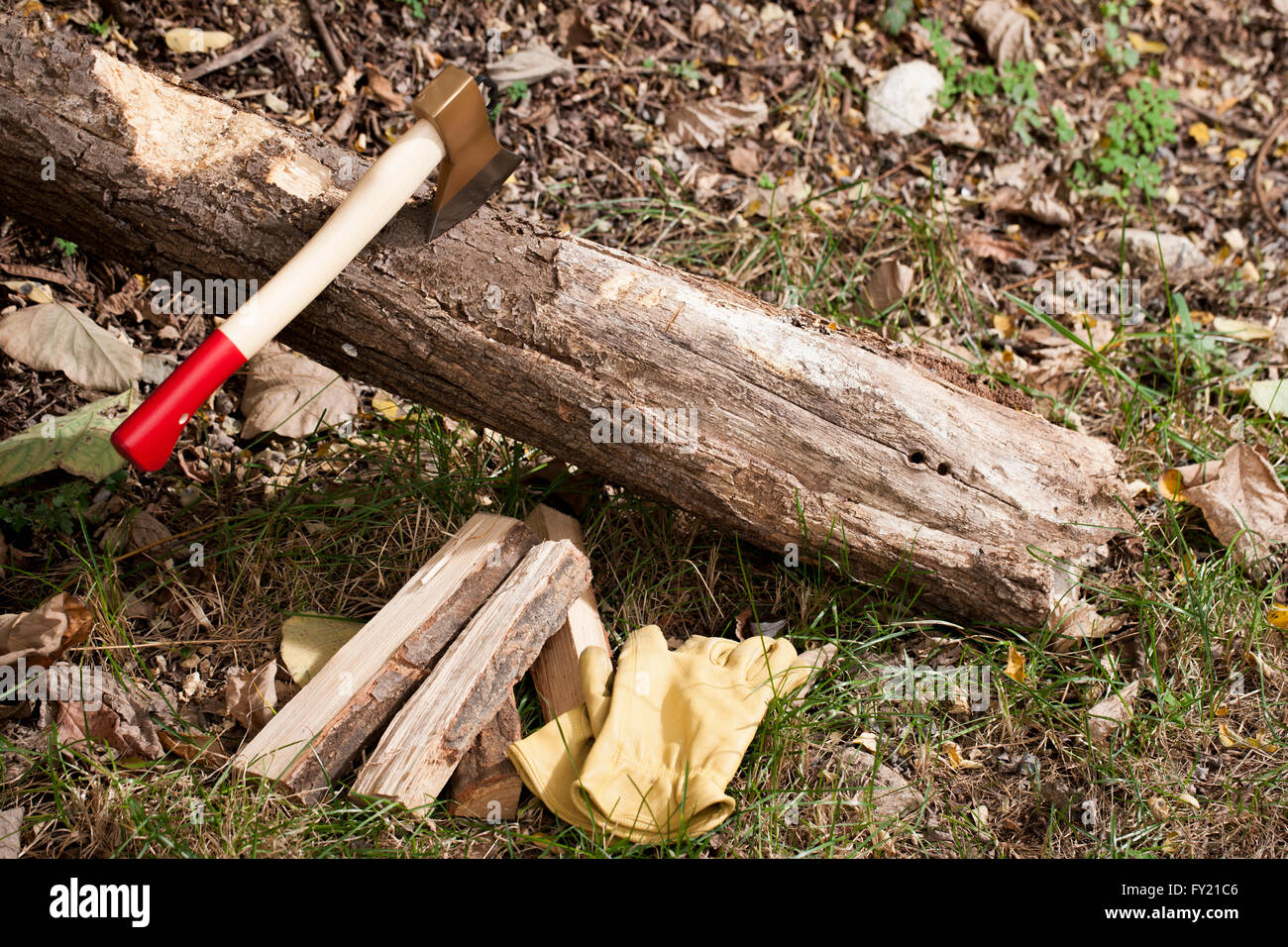 Ax bloccata su di un legno Foto Stock