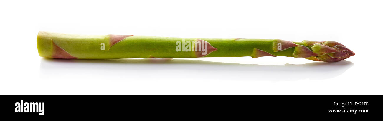 Asparagi freschi isolati su sfondo bianco Foto Stock