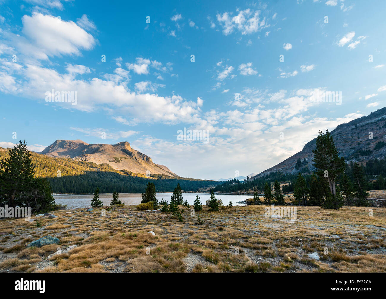 Il lago di Tioga, Inyo National Forest di Mono County, California, Stati Uniti d'America Foto Stock