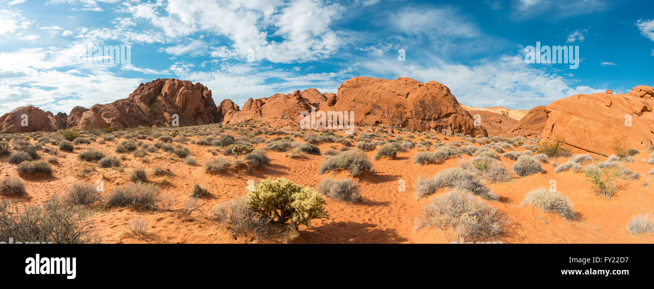 Rainbow Vista, rosso arancio roccia arenaria, Deserto Mojave, la Valle del Fuoco del parco statale, Nevada, STATI UNITI D'AMERICA Foto Stock