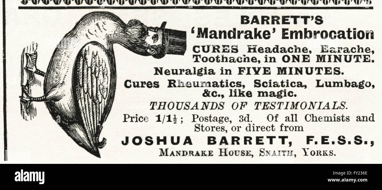 Originale vecchia vintage magazine advert dalla tarda epoca vittoriana datata 1900. Pubblicità Pubblicità di Barrett Mandrake embrocation Cure mal di testa il mal d'orecchi mal di denti in un minuto e nevralgie in cinque minuti Foto Stock