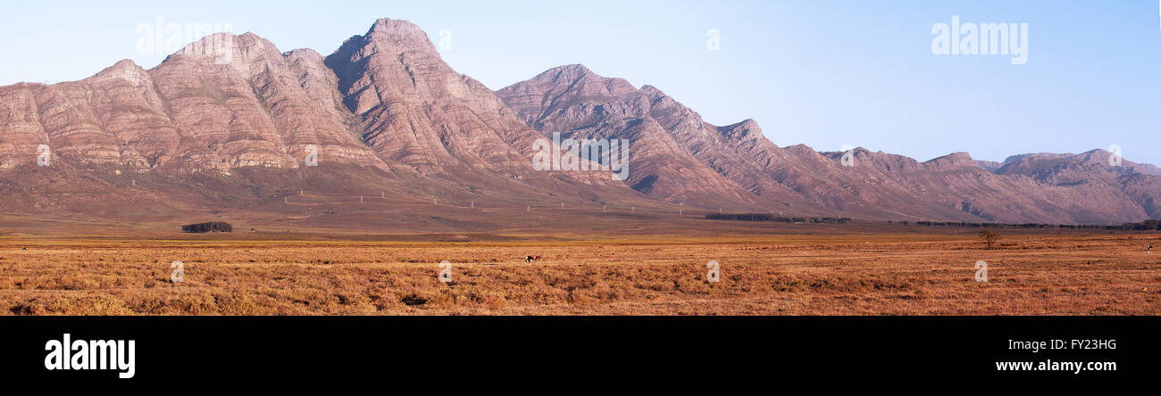 Le magnifiche montagne confine Elandsberg Farm, Bo Herman, Sud Africa. Foto Stock