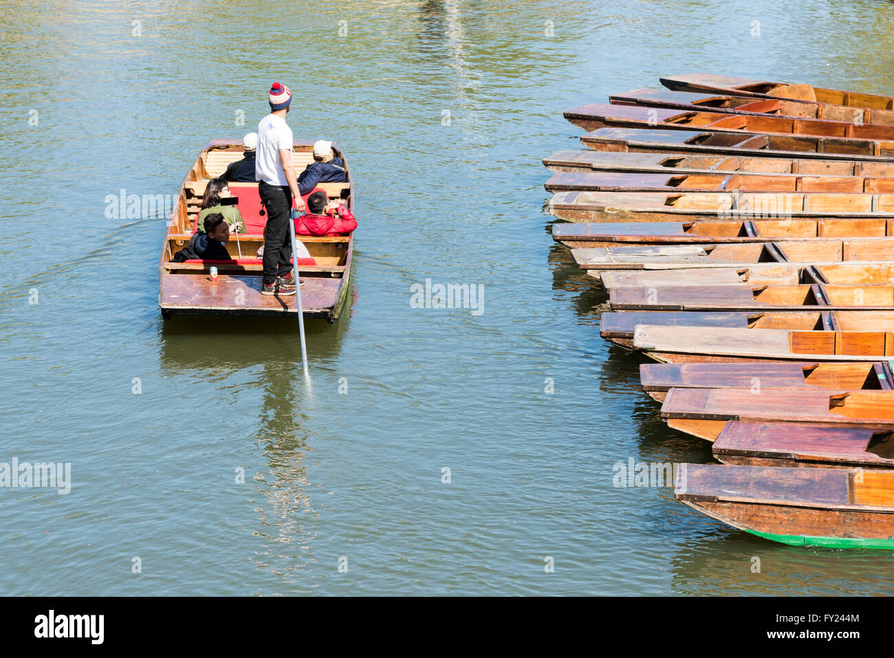 Un punt con autista che trasportano i turisti in una gita in barca sul fiume Cam Cambridge Regno Unito Foto Stock