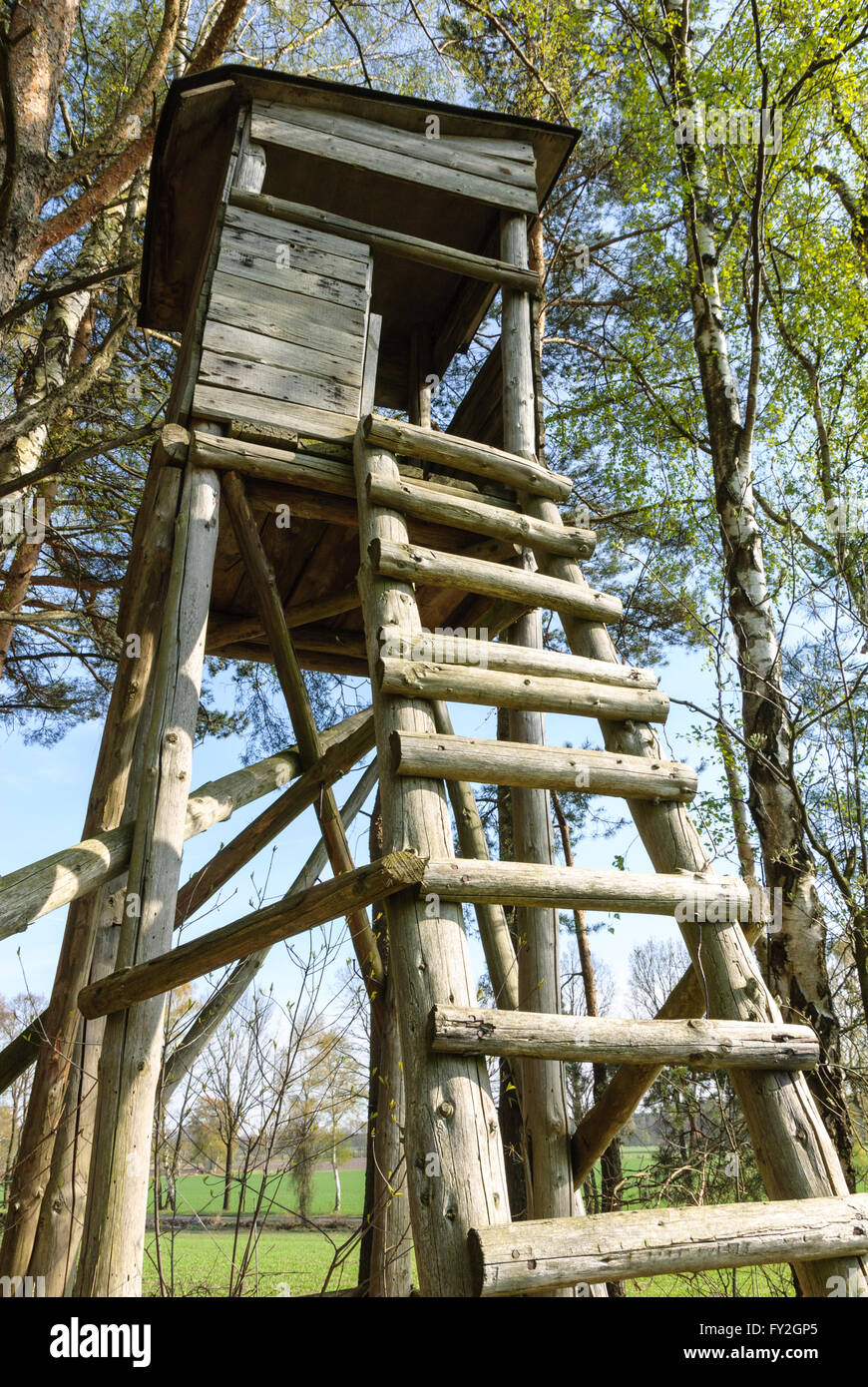 Supporto scatola in corrispondenza del bordo di una foresta in primavera Foto Stock