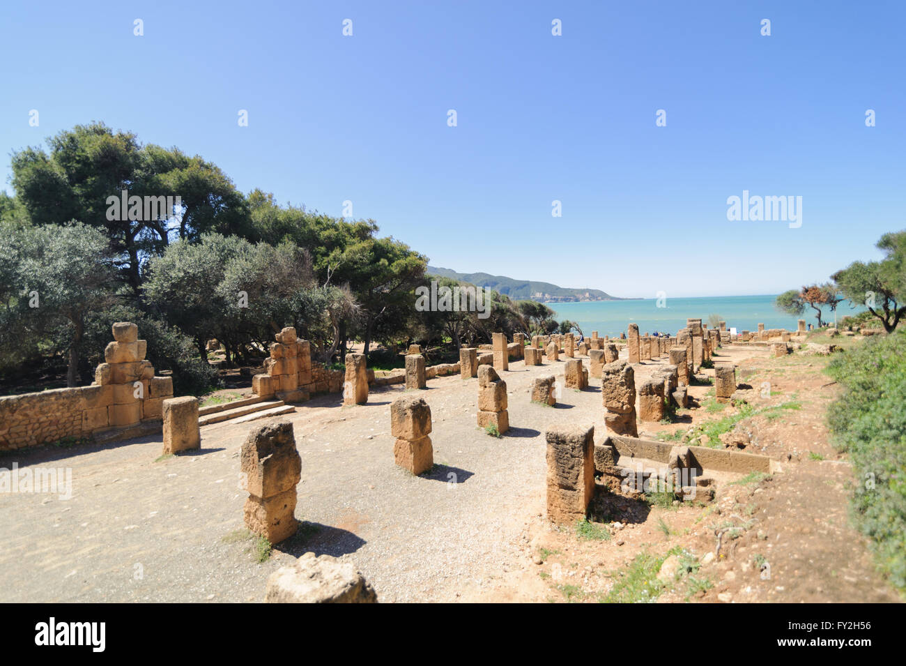Rovine di Tipasa(Tipaza).L antica città fu una colonia in provincia romana Mauritania Caesariensis lo Foto Stock