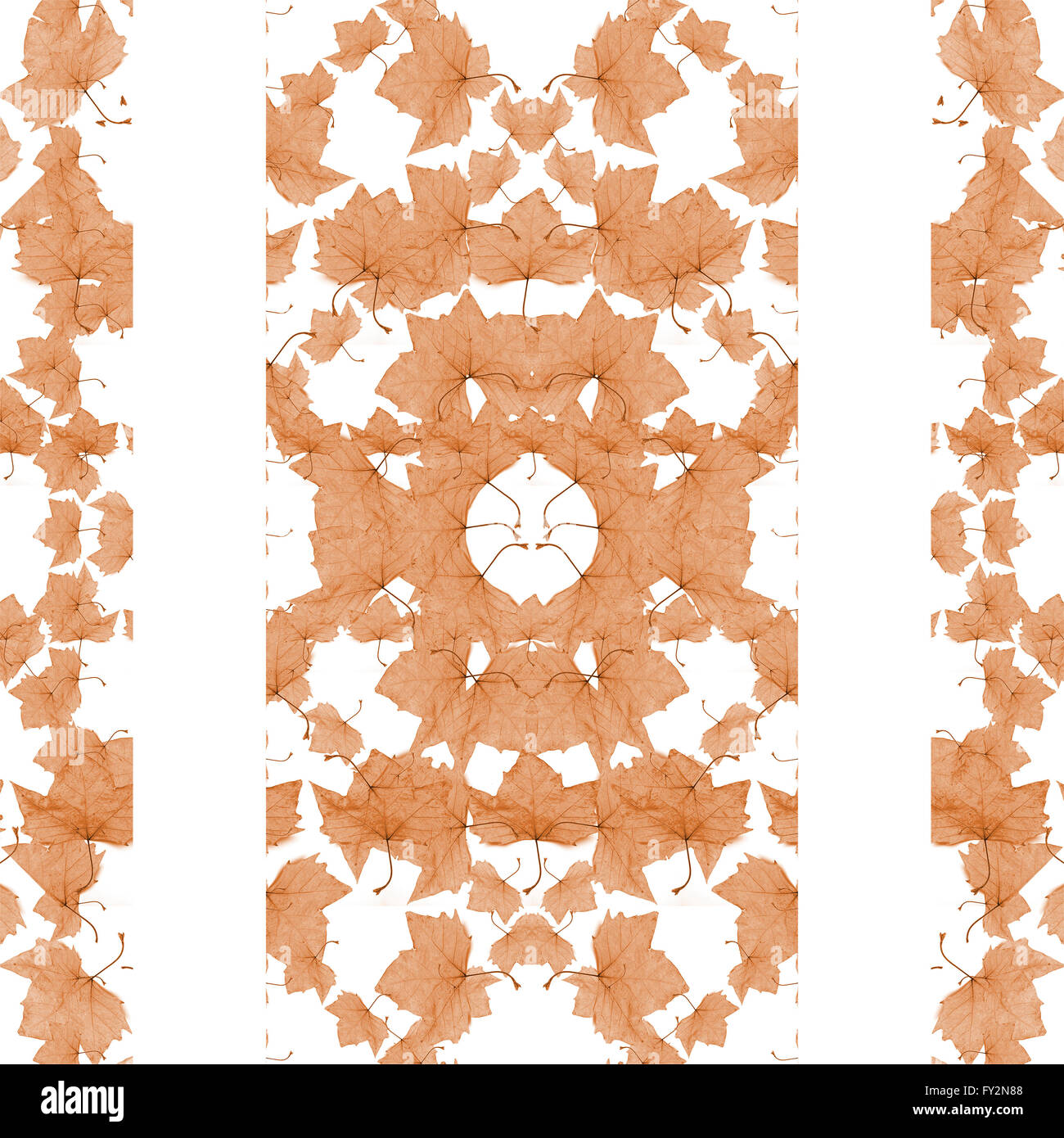 Sfondo bianco con strisce decorate frontiere collage floreali design in pallidi toni di marrone Foto Stock