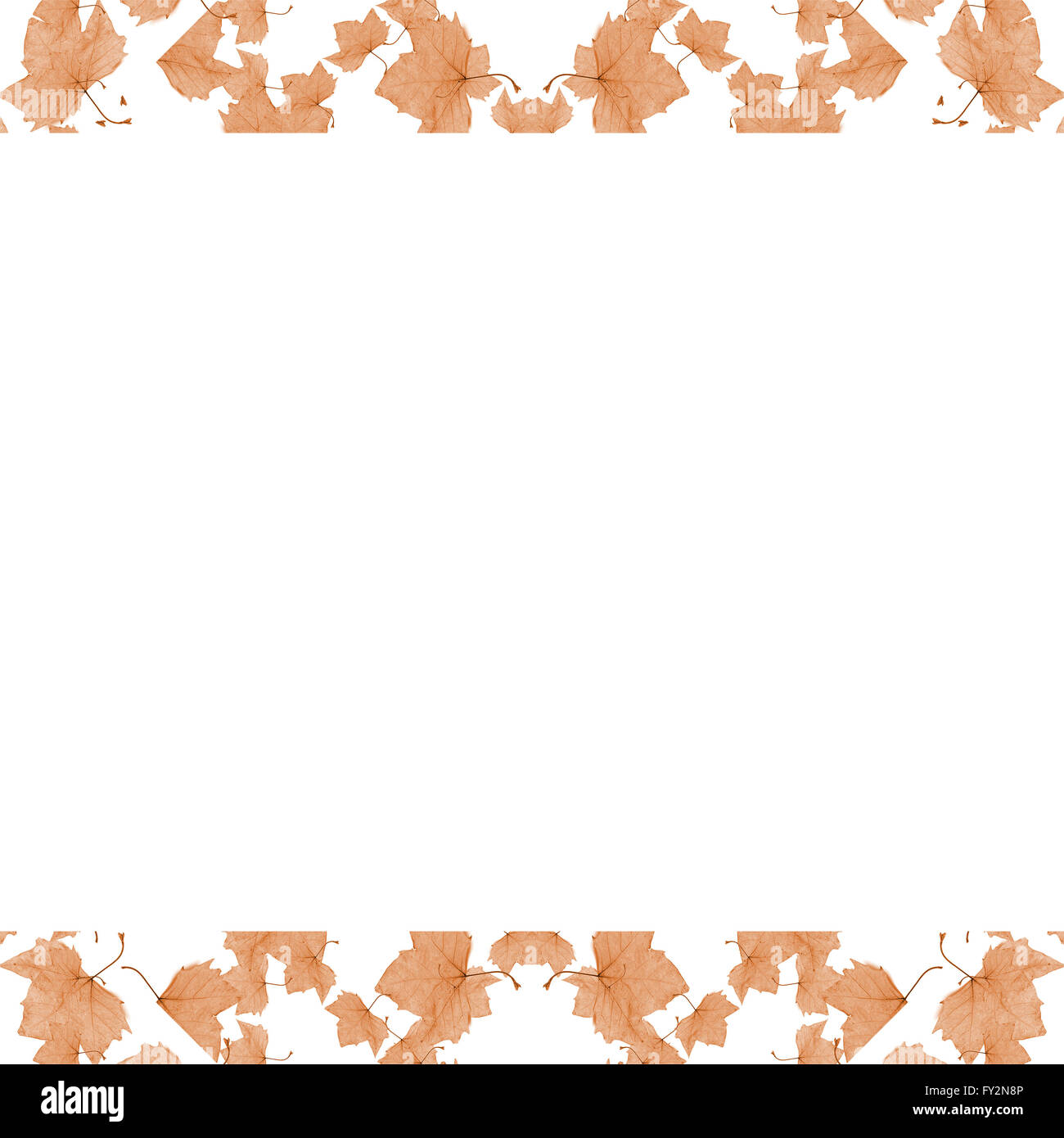 Sfondo bianco cornice con bordi decorati con motivi floreali design collage in pallidi toni di marrone Foto Stock