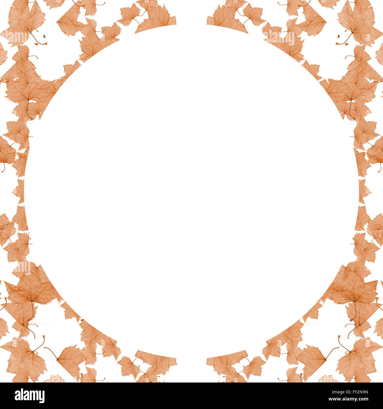 Sfondo bianco con cornice rotonda frontiere decorate collage floreali seamless pattern design mosaico in pallidi toni di marrone Foto Stock