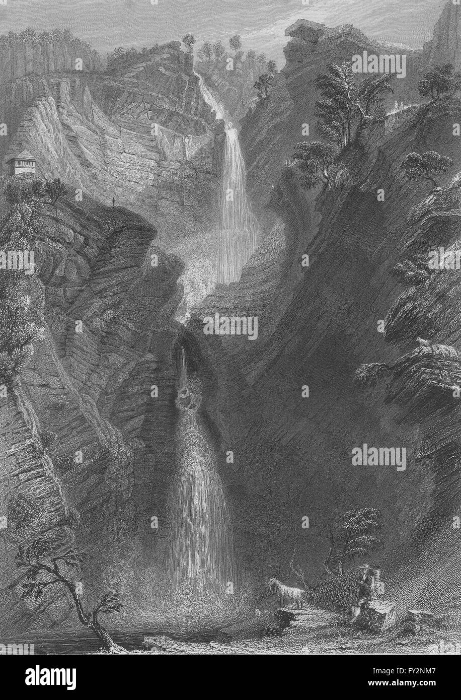 La Svizzera:superiore della cascata di Reichenbach (Canton Berna / Berna).BARTLETT 1836 Foto Stock