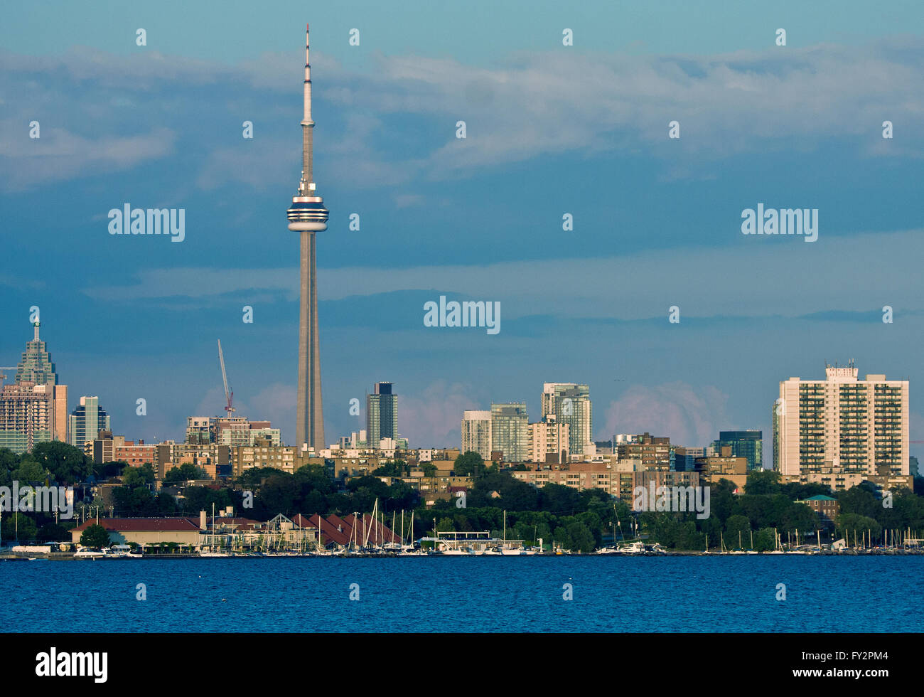 Toronto, Ontario Skyline Cityscape Foto Stock