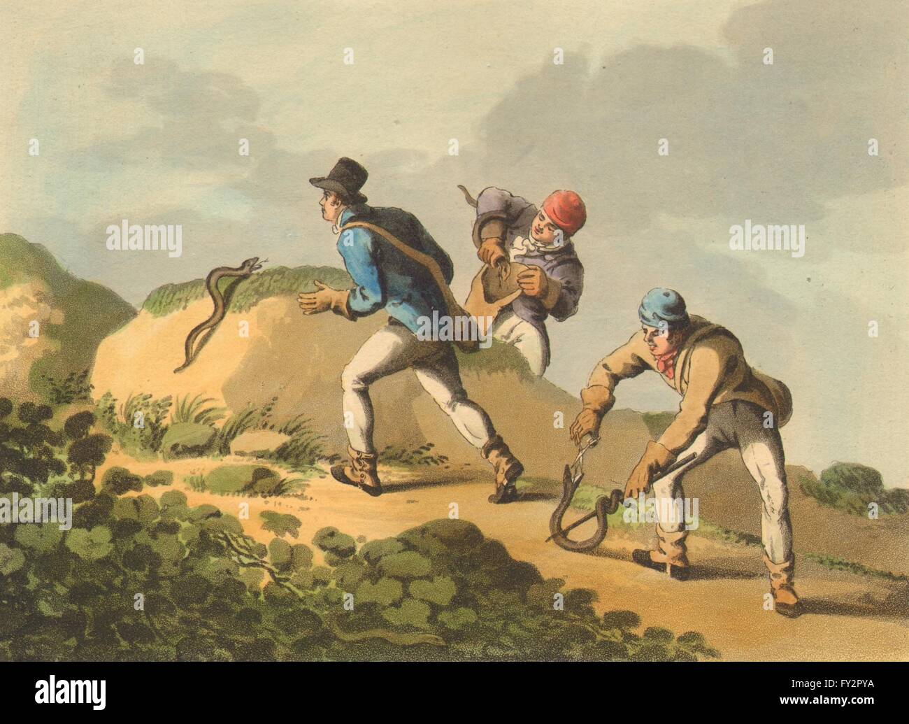 INDIA: la cattura di vipere serpenti. Stick a forcella, zanne cut (Edward Orme) , 1814 Foto Stock