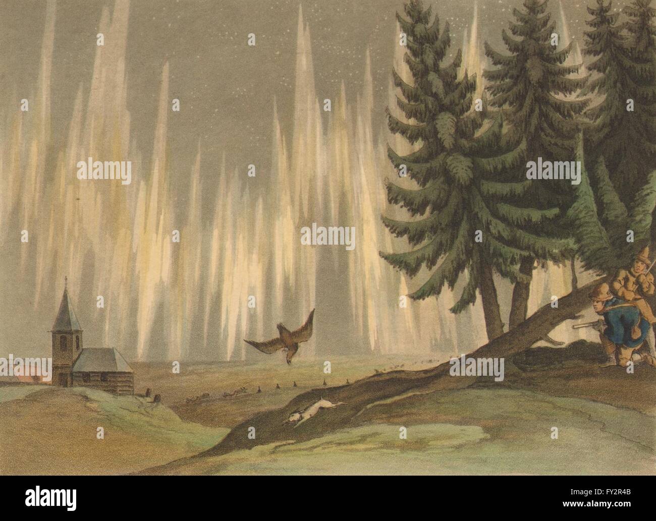 Finlandia:riprese la lepre bianca Tornea.Aurora Boreale.Eagle.luci del nord, 1814 Foto Stock