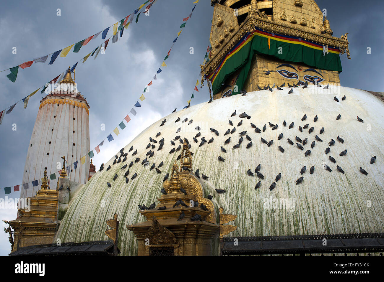 Swayambhunath Stupa viste, una varietà di santuari e templi che è noto come il Tempio delle Scimmie, un antico complesso religioso a Foto Stock