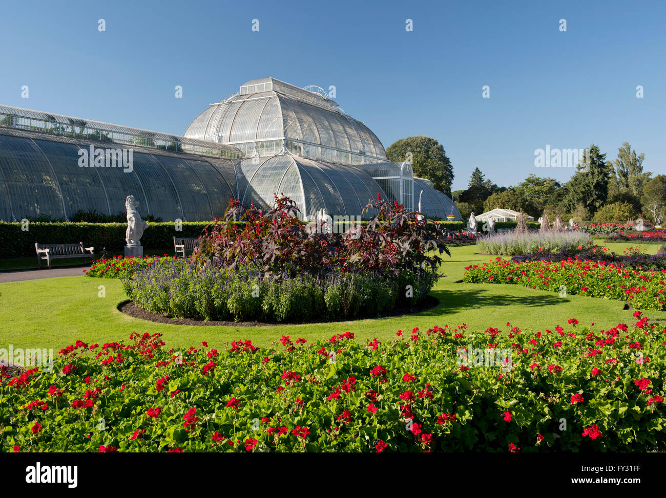 Gerani nel parterre di fronte alla Casa delle Palme a Kew Gardens, London, Regno Unito Foto Stock