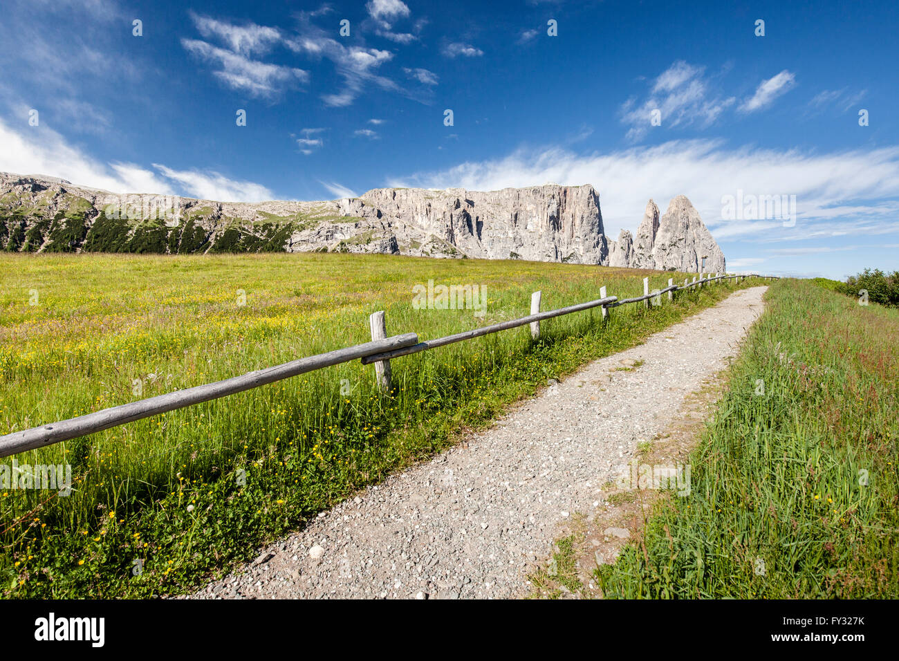 Seiser Alm nel Parco Naturale Sciliar-Catinaccio, dietro lo Sciliar con il Santner e Euringer dirupi, Dolomiti Foto Stock