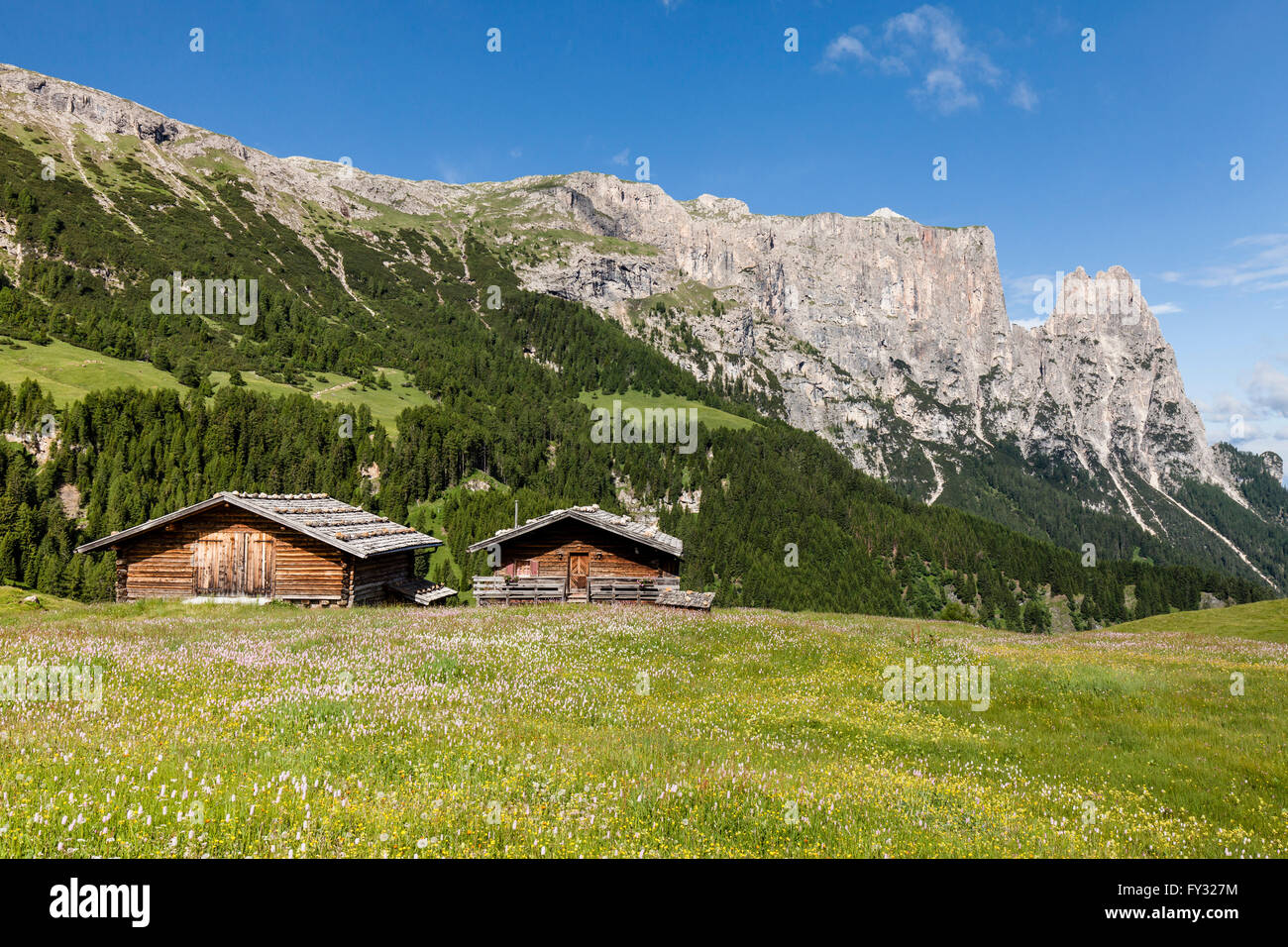 La molla sull'Alpe di Siusi nel Parco Naturale Sciliar-Catinaccio, rifugi di montagna nella parte anteriore del massiccio dello Sciliar con il Santner e Euringer Foto Stock
