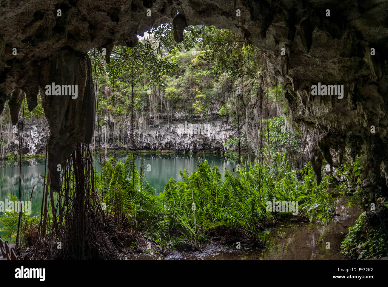 Los Tres Ojos, TRE OCCHI, open-air di grotte di calcare, Mirador del Este park, Santo Domingo Este, Repubblica Dominicana Foto Stock