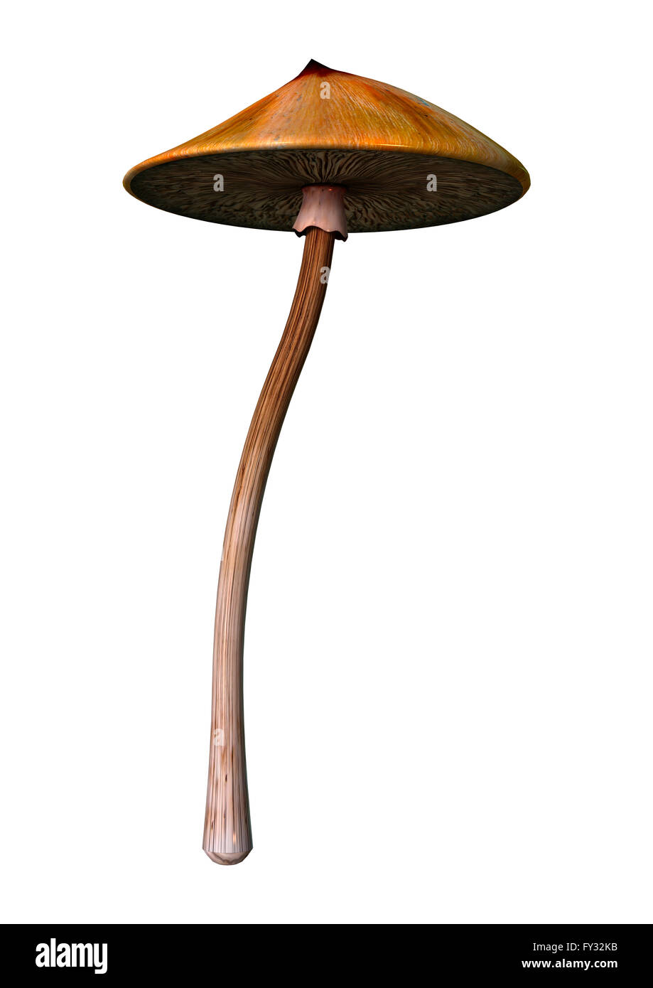 3D illustrazione di un magic mushroom isolati su sfondo bianco Foto Stock