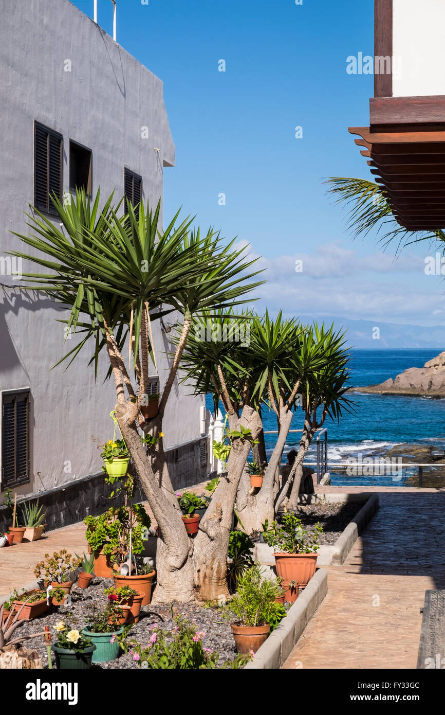 Vicolo tra le case che portano al mare nel villaggio costiero di La Caleta in Costa Adeje, Tenerife, Isole Canarie, Spagna. Foto Stock