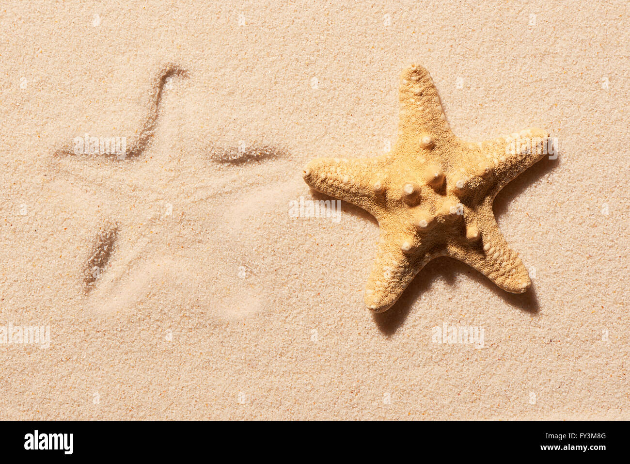 Starfish e segno della stella di mare sulla sabbia. Estate spiaggia sfondo. Vista da sopra Foto Stock