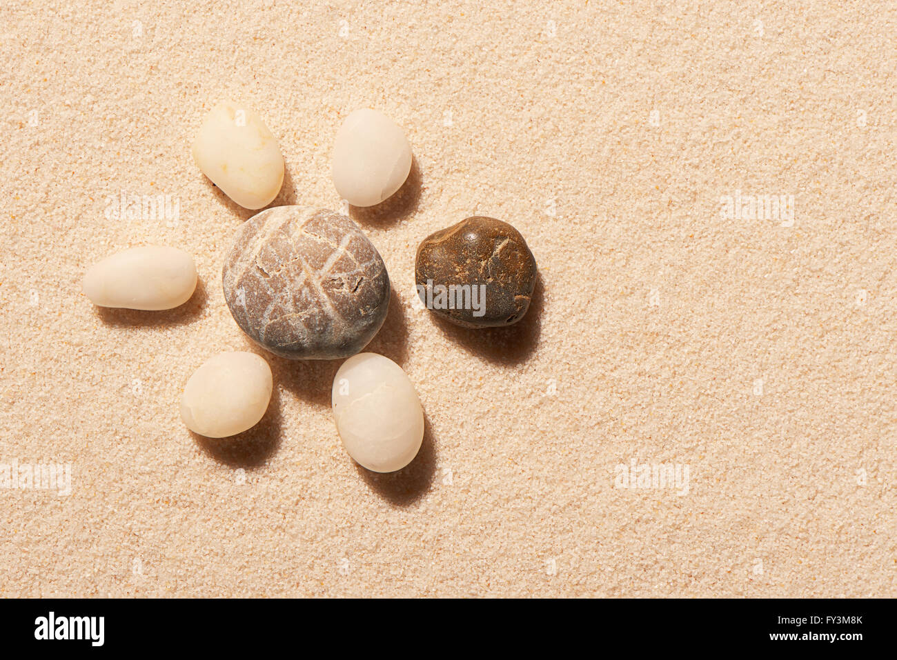 Fatta di tartaruga di mare pietre sulla sabbia. Estate spiaggia sfondo. Vista da sopra Foto Stock