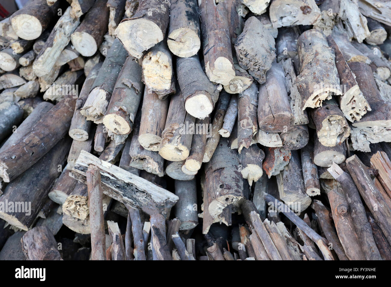 Catasta di legna da ardere realizzato dalla struttura ad albero di morti per uso in inverno. Foto Stock