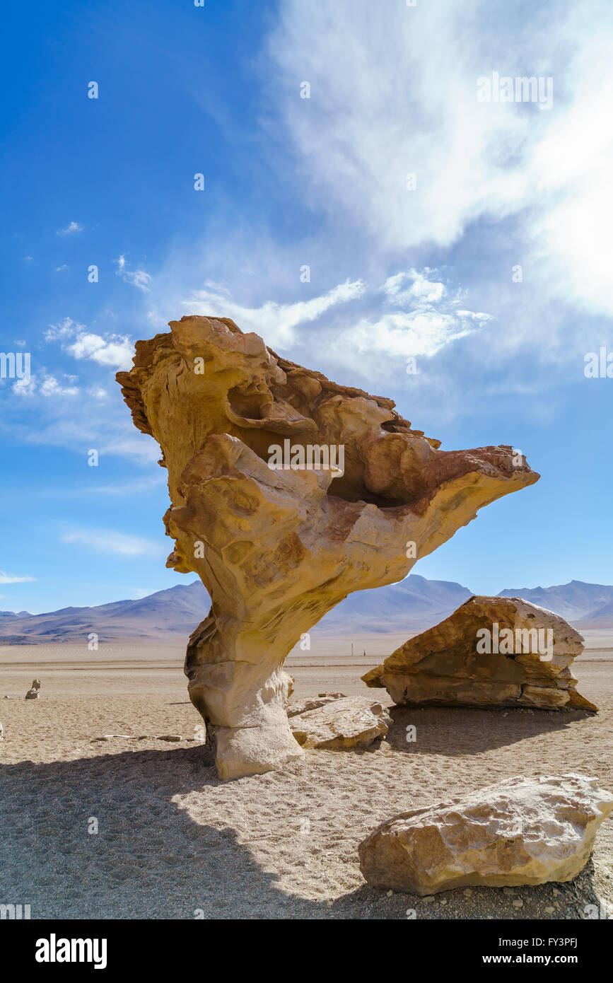 Arbol de Piedra, la roccia vulcanica formazione Foto Stock