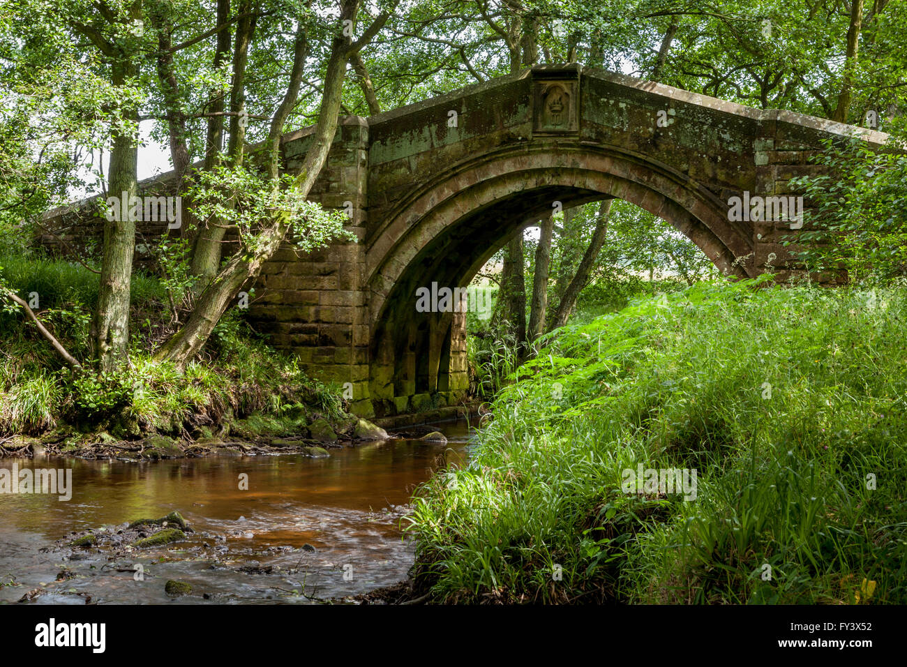 Pack Horse Bridge, Westerdale, North Yorkshire, Inghilterra Foto Stock