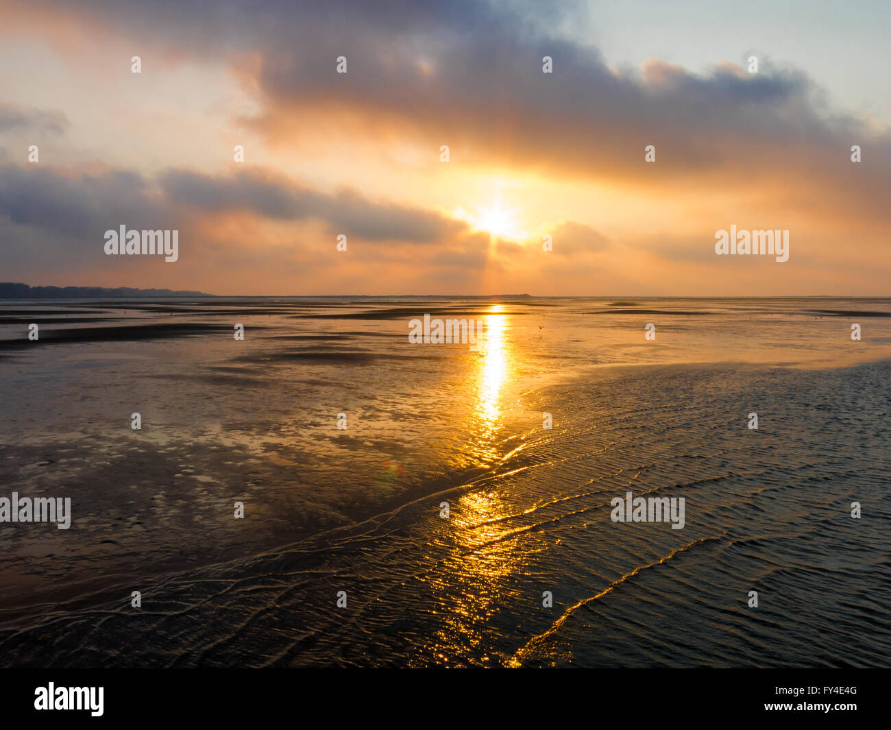 Il tramonto e la bassa marea oltre le zone umide vicino al porto di Rotterdam in South Holland, Paesi Bassi Foto Stock