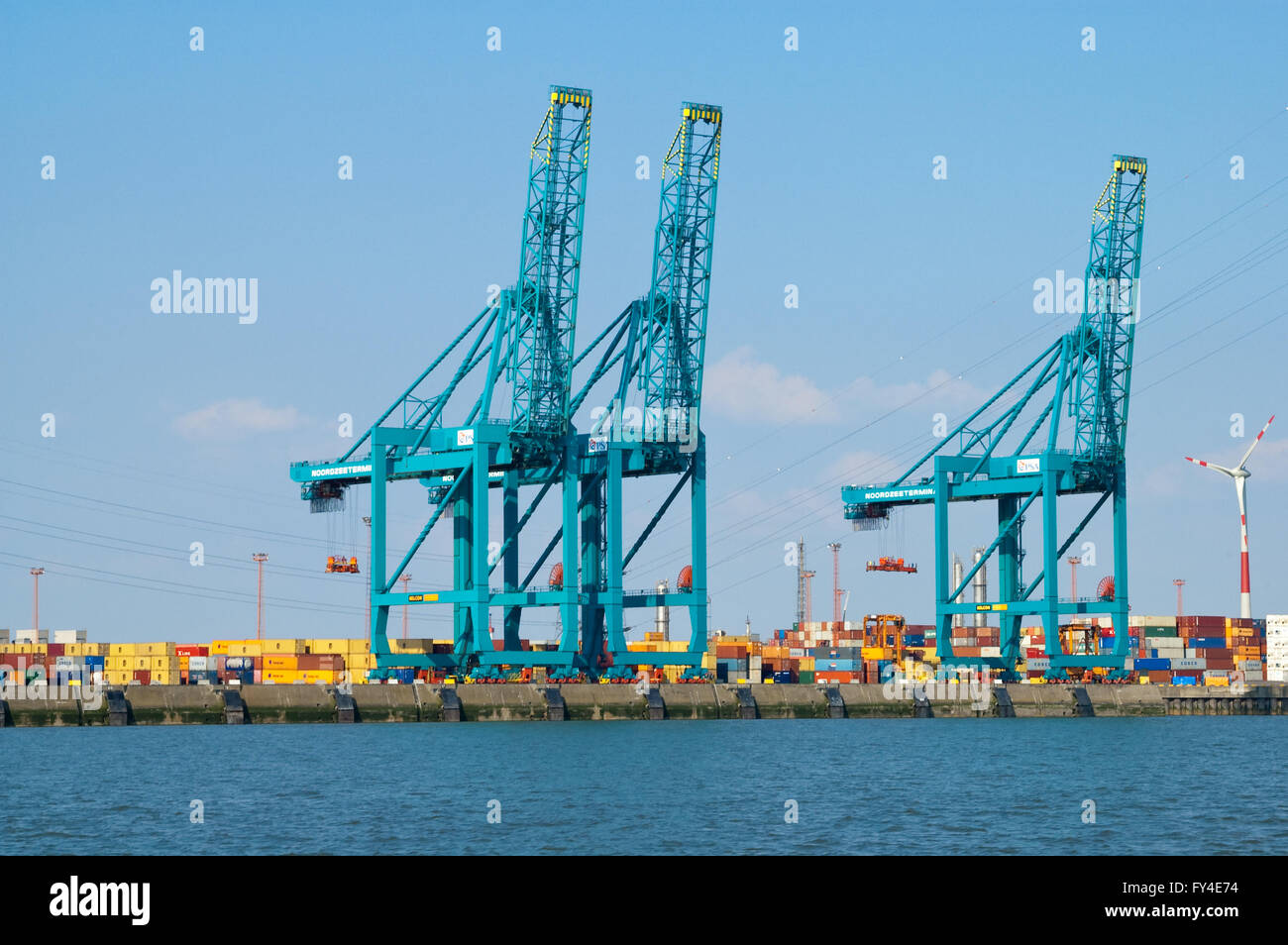 Gru e contenitori al terminal di container Deurganckdok, fiume Schelde, porto di Anversa, Belgio Foto Stock