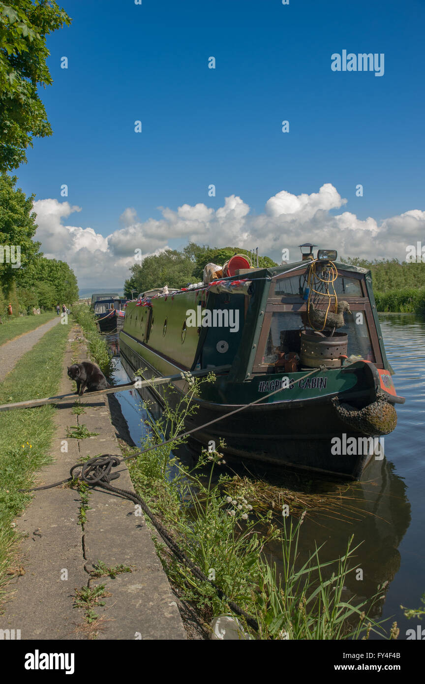 Una stretta barca ormeggiata sulla Glasson ramo del canale di Lancaster Foto Stock