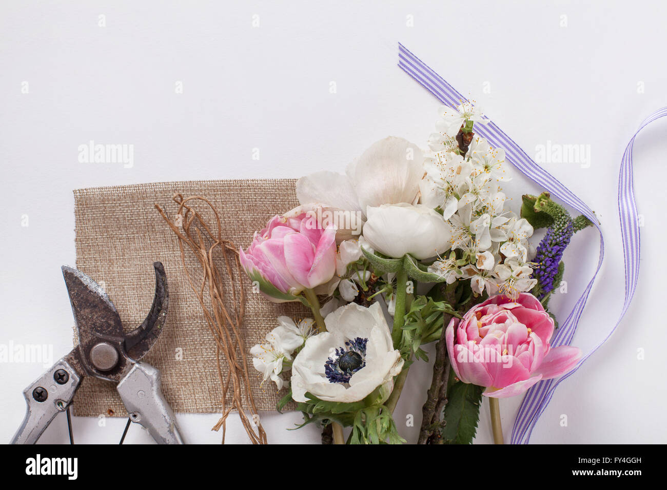 Tulipani rosa, anemoni bianchi, bianco renoncules e prugna Fiore di ramo di albero giacente su bianco dalla parte superiore con nastro e la potatura s Foto Stock