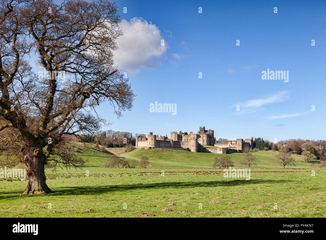 La molla a Alnwick Castle, Northumberland, England, Regno Unito Foto Stock