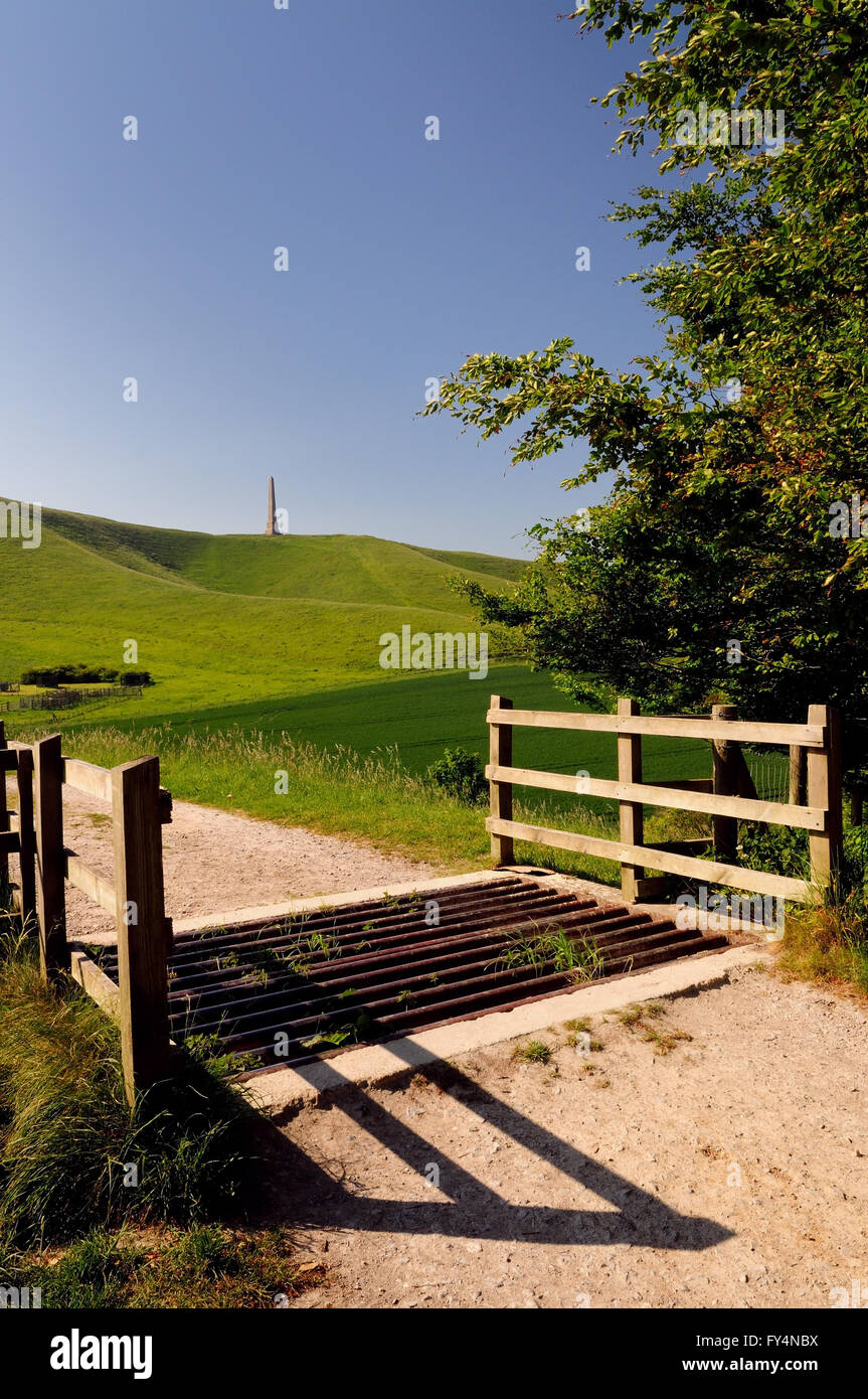 Griglia di bestiame che conduce al Lansdowne monumento sulla collina Cherhill (Oldbury castello), un caratteristico punto di riferimento del Wiltshire Downs. Foto Stock