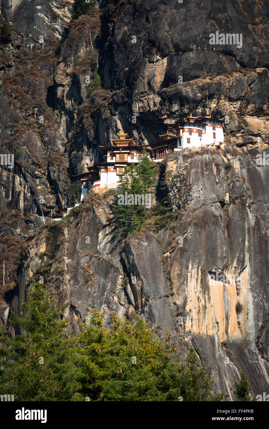 Tiger's Nest (Taktshang) Monastero, arroccato sulla scogliera vicino a paro, Bhutan Foto Stock