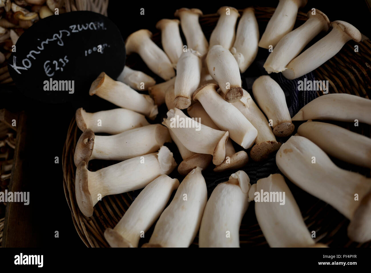 Il re dei funghi per la vendita al mercato di Amsterdam Foto Stock