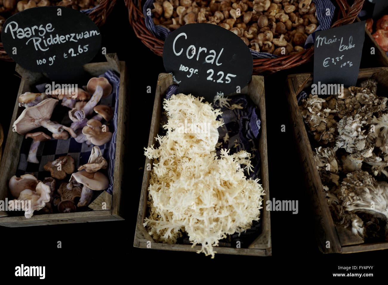 Il cavaliere viola i funghi per la vendita al mercato di Amsterdam Foto Stock
