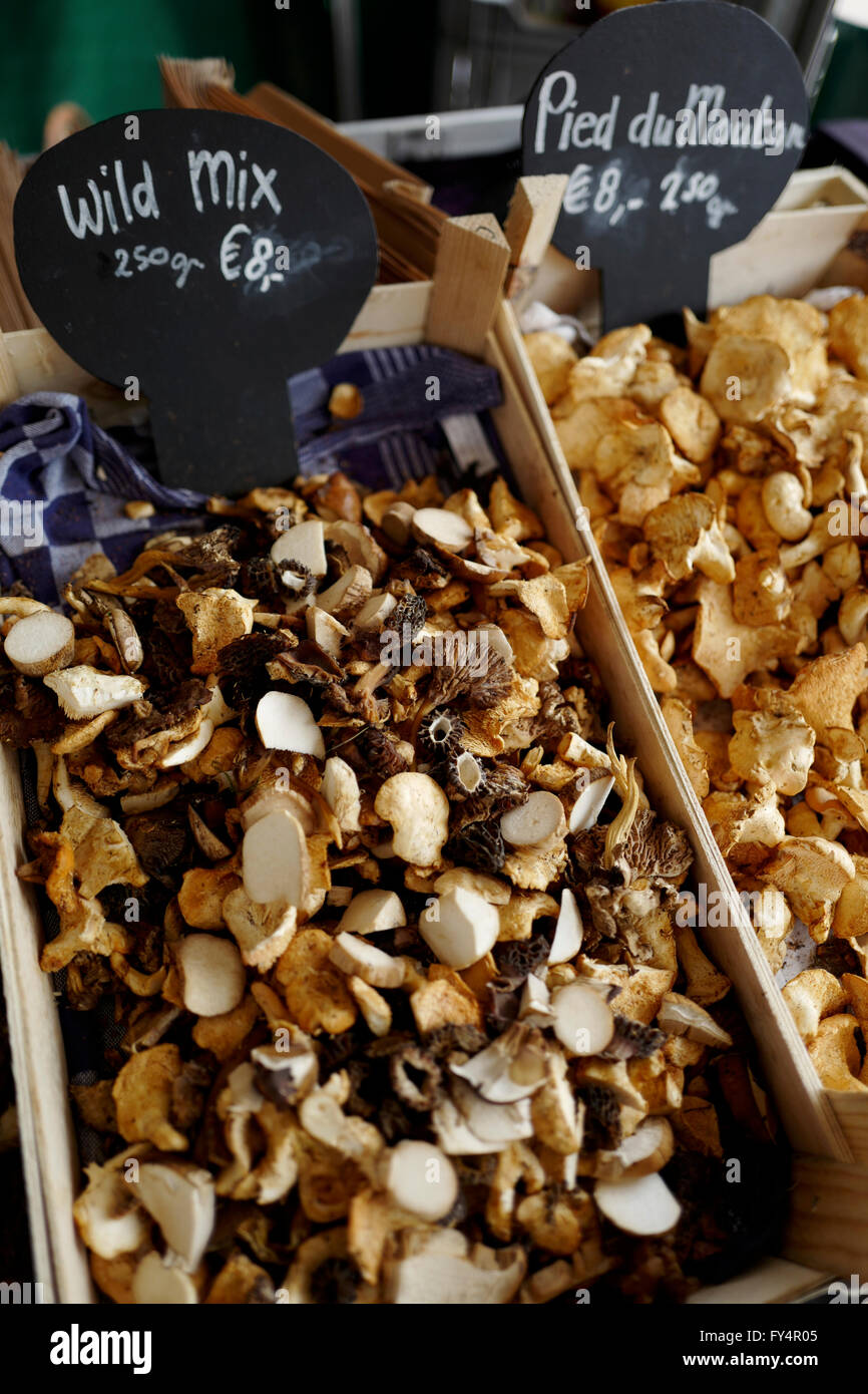 I funghi per la vendita al mercato di Amsterdam Foto Stock