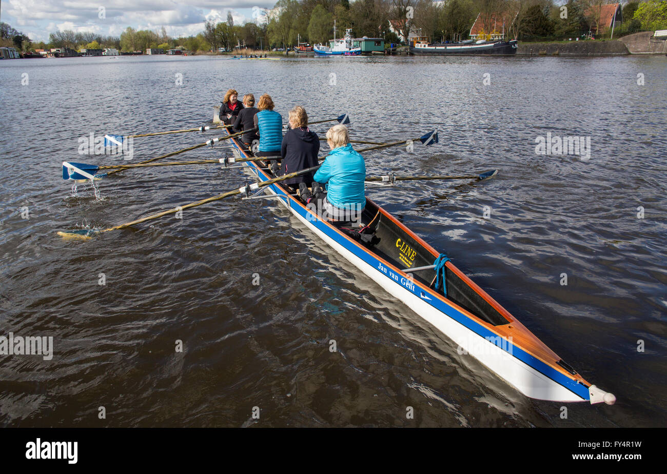 Canottaggio sul fiume Amstel Foto Stock