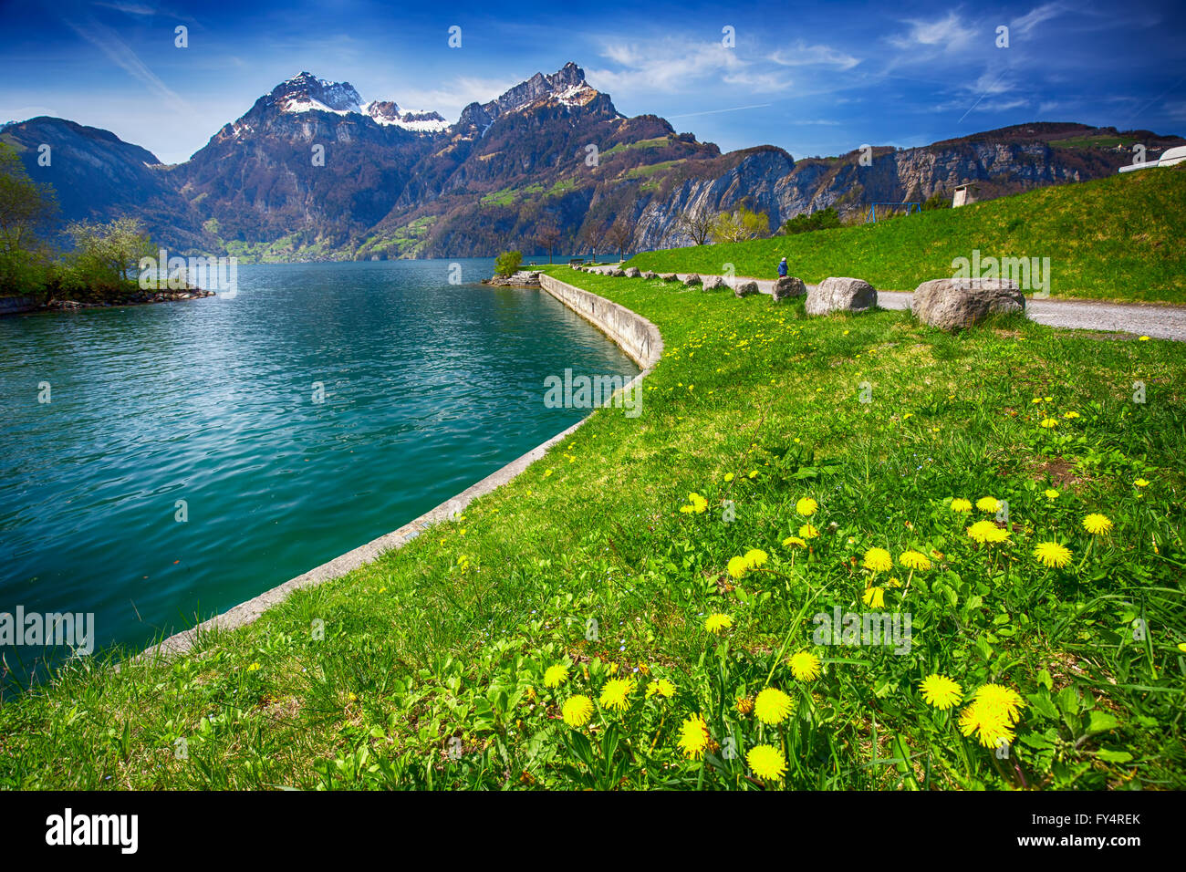 Bella passeggiata a mare di Sisikon village con la vista delle Alpi Svizzere e il lago di Lucerna, Svizzera Foto Stock