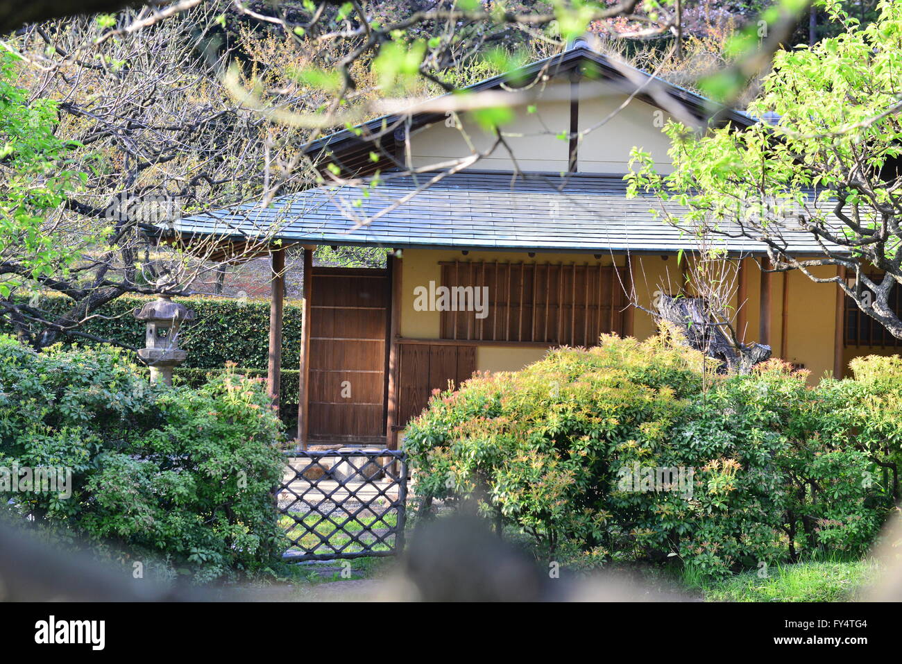 Shinjuku Gyoen, Tokyo, Giappone Foto Stock