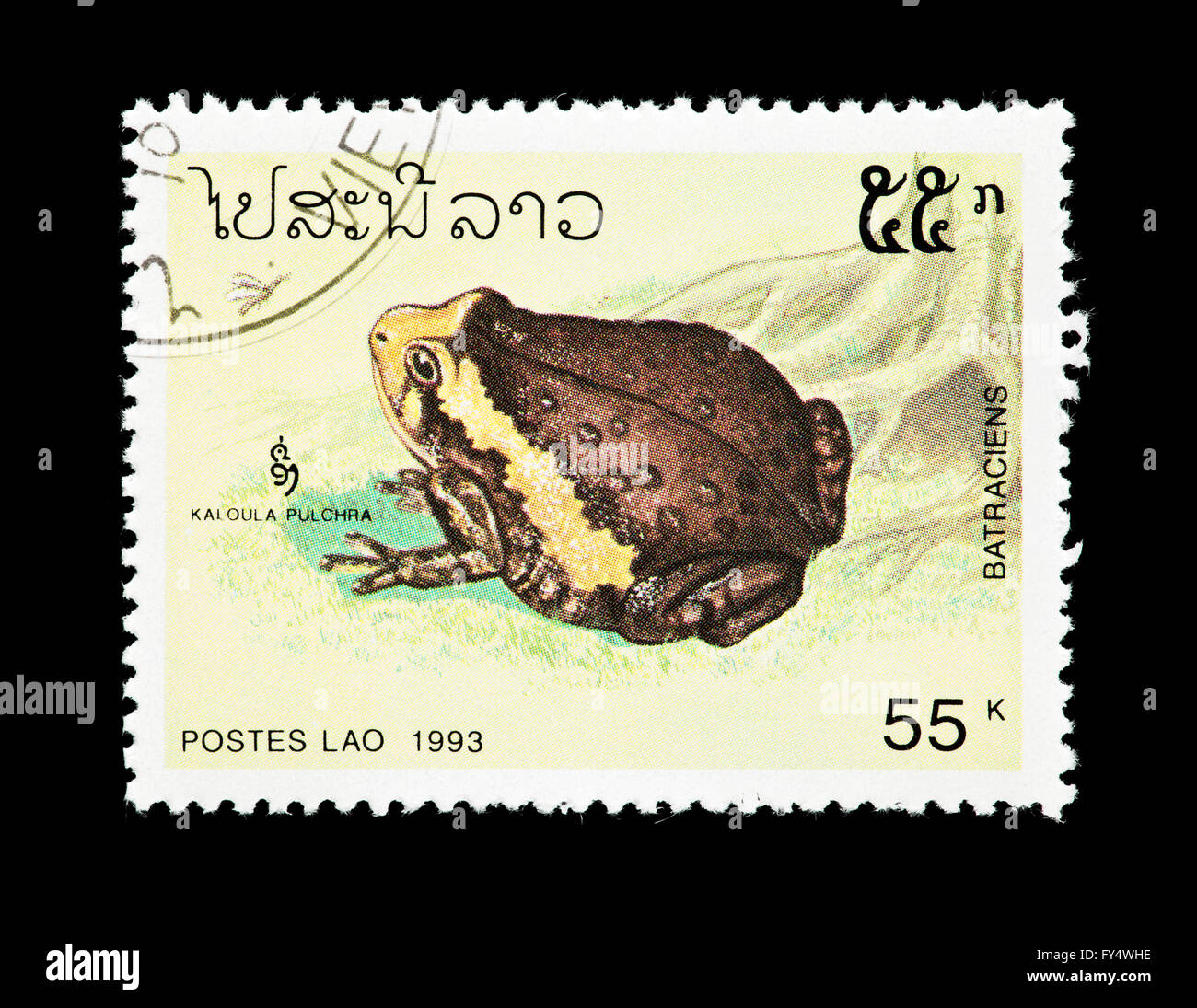 Francobollo dal Laos raffiguranti nastrare bullfrog (Kaloula pulchra) Foto Stock