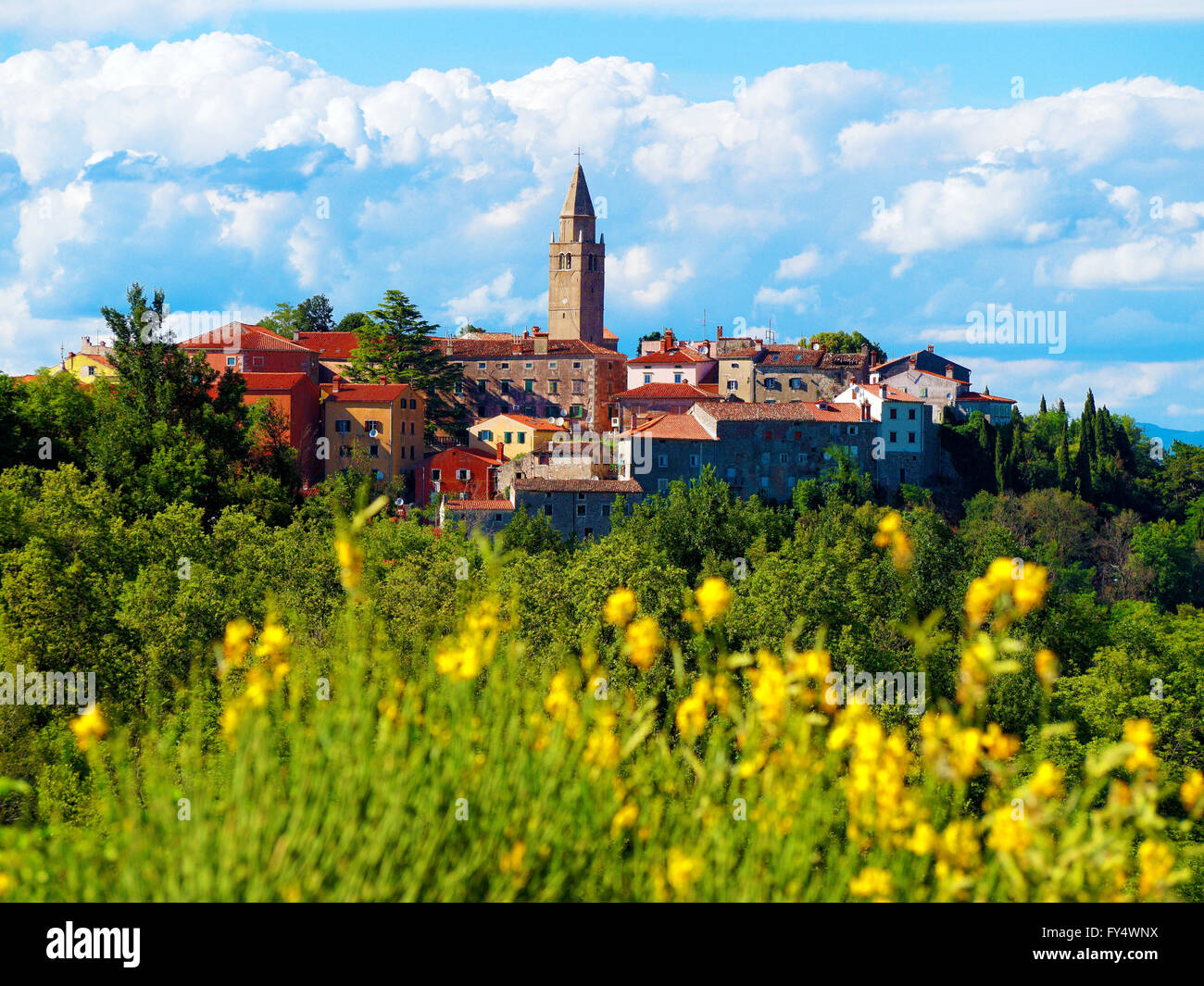 Villaggio della città di Labin Istria Croazia Foto Stock