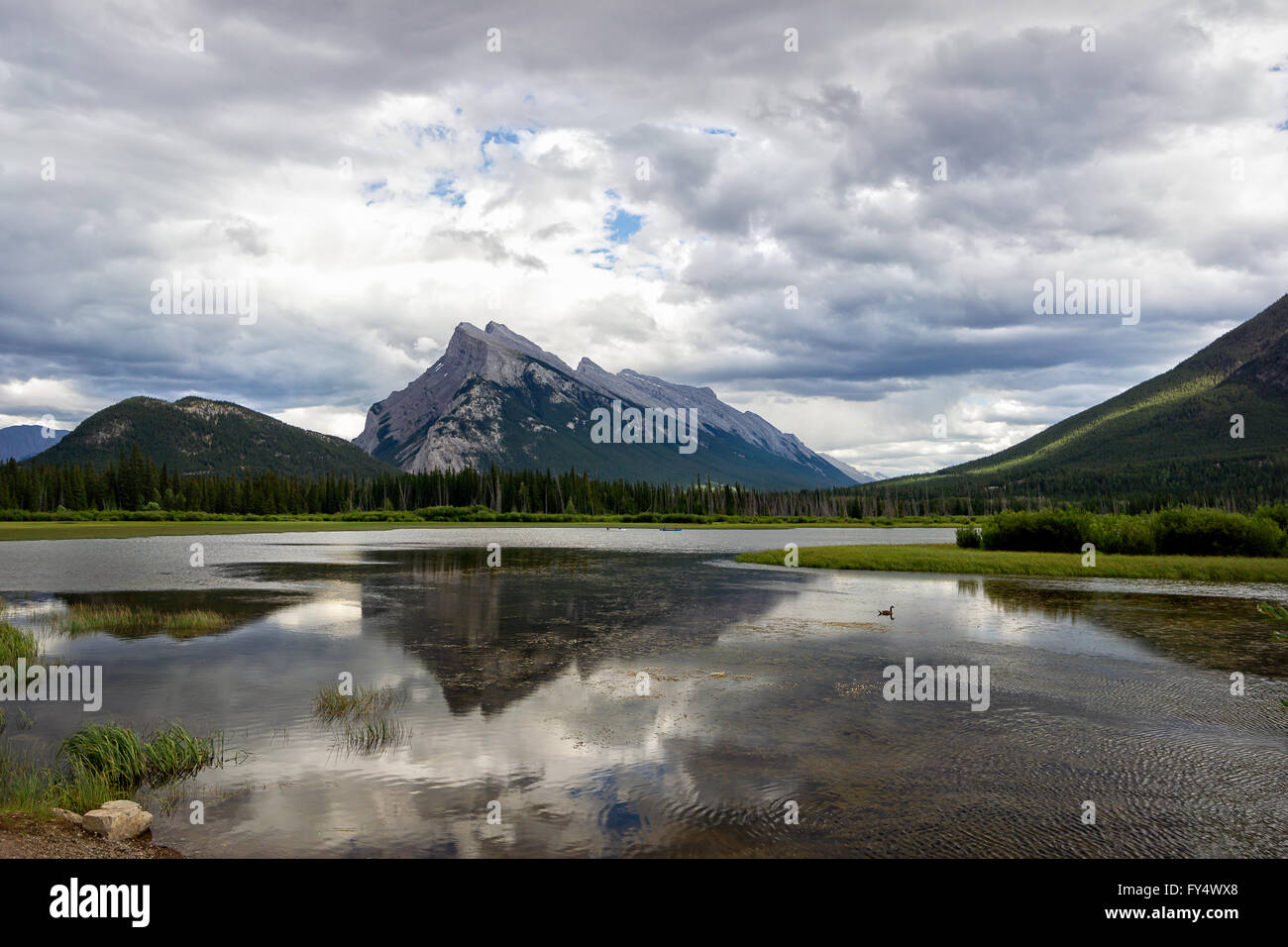 Mount Rundle a Laghi Vermillion, il Parco Nazionale di Banff, Alberta Foto Stock