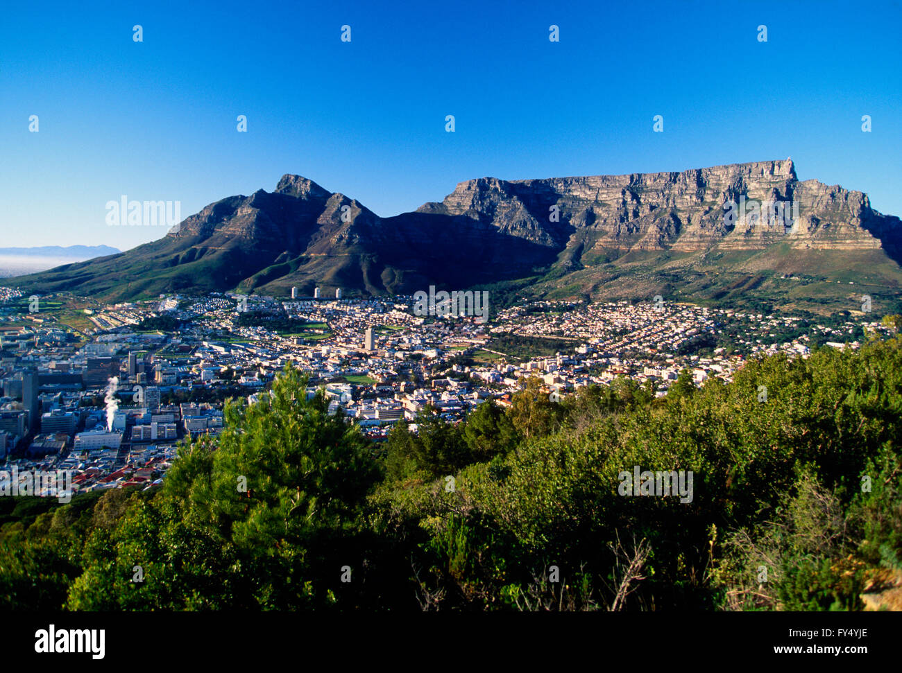 Panoramica di Cape Town; Penisola del Capo; Sud Africa; con la Montagna della Tavola Foto Stock