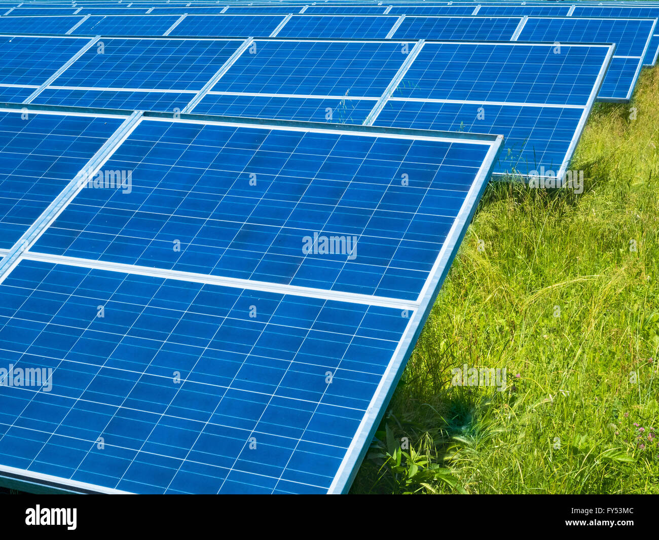 I pannelli fotovoltaici installati in un prato verde. Foto Stock